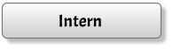 Intern