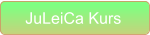 JuLeiCa Kurs