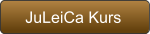 JuLeiCa Kurs