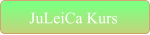 JuLeiCa Kurs