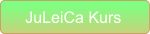 JuLeiCa Kurs