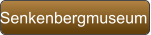 Senkenbergmuseum