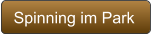 Spinning im Park