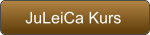 JuLeiCa Kurs