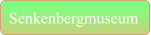 Senkenbergmuseum