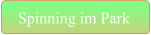 Spinning im Park