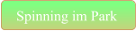 Spinning im Park
