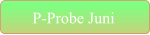 P-Probe Juni