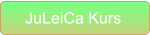 JuLeiCa Kurs