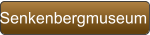 Senkenbergmuseum
