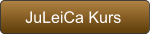 JuLeiCa Kurs