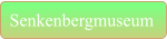 Senkenbergmuseum