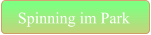 Spinning im Park