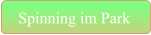 Spinning im Park