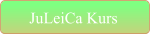 JuLeiCa Kurs